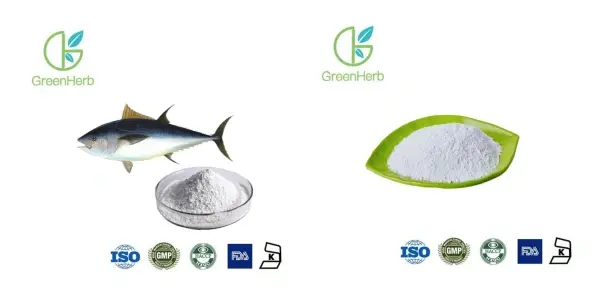 Fish Collagen Peptide.webp